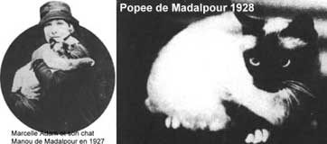 de Madalapour