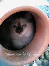 Mein Lieblingsversteck